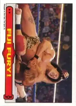 1985 O-Pee-Chee WWF Pro Wrestling Stars Series 2 #53 - Card #53 - Front