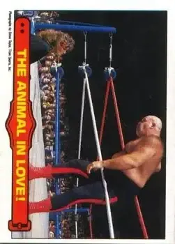 1985 O-Pee-Chee WWF Pro Wrestling Stars Series 2 #60 - Card #60 - Front