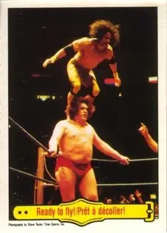 1985 O-Pee-Chee WWF Pro Wrestling Stars #53 - Card #53