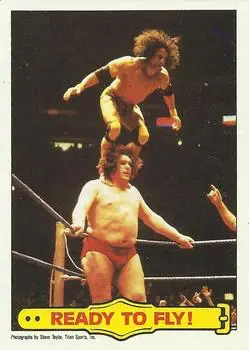 1985 Topps WWF Pro Wrestling Stars #53 - Card #53