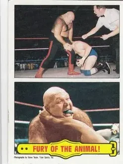 1985 Topps WWF Pro Wrestling Stars #55 - Card #55