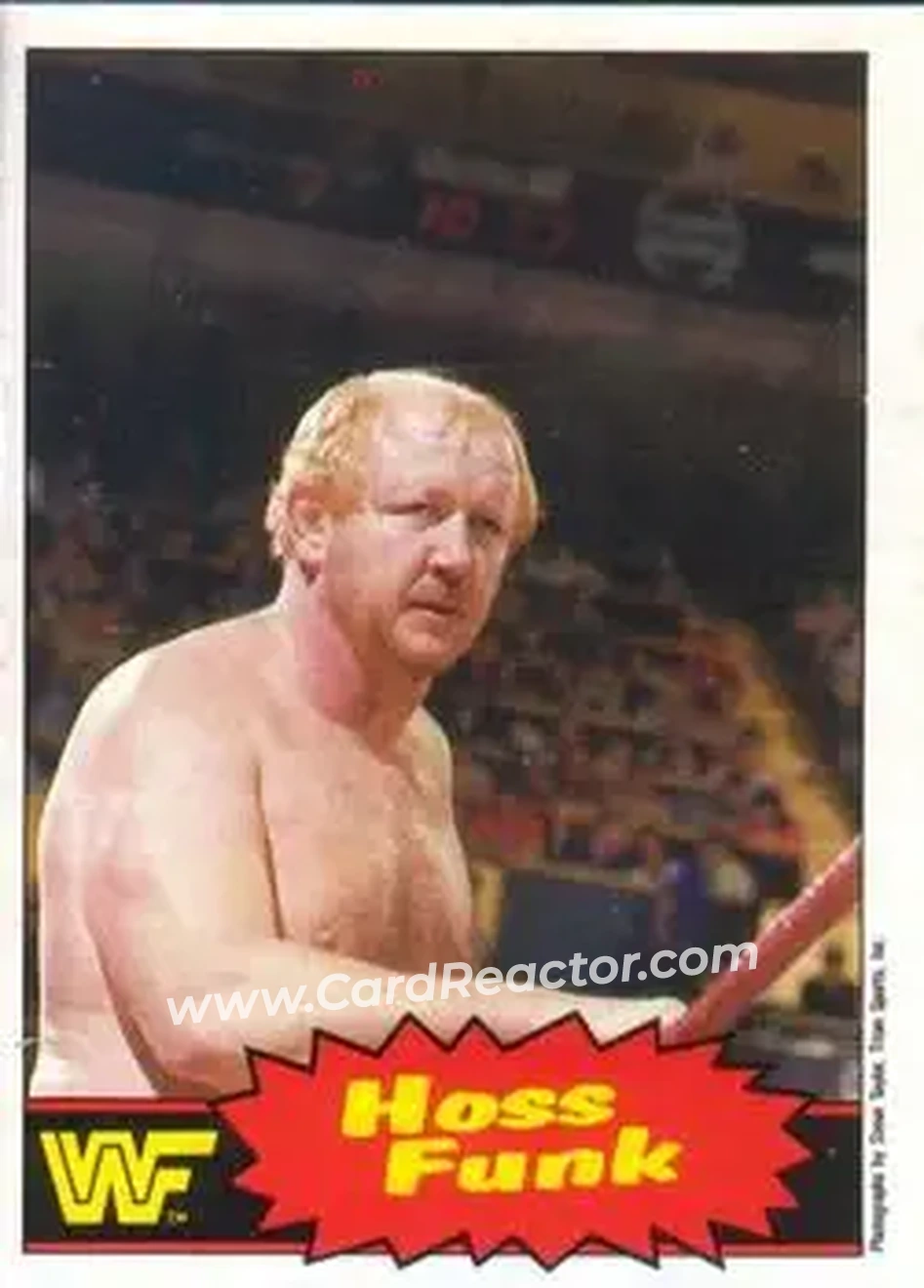 1985 O-Pee-Chee WWF Pro Wrestling Stars Series 2 #61 - Dory Funk Jr.