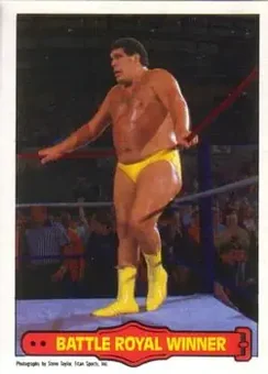1985 O-Pee-Chee WWF Pro Wrestling Stars Series 2 #73 - Card #73