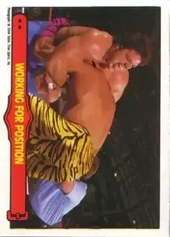 1985 O-Pee-Chee WWF Pro Wrestling Stars Series 2 #74 - Card #74