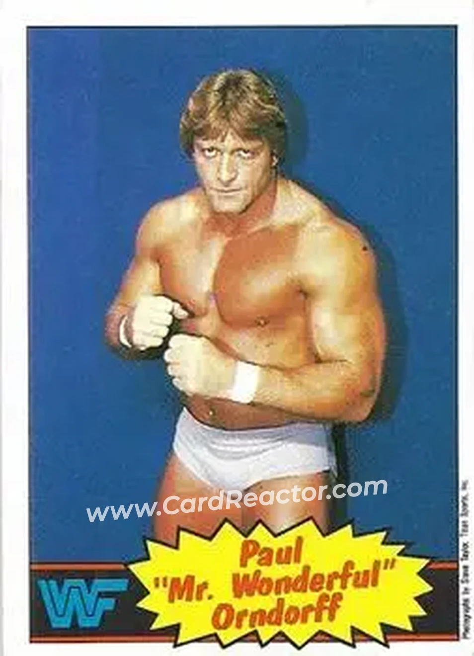 1986 Scanlens WWF Pro Wrestler #5 - Paul Orndorff