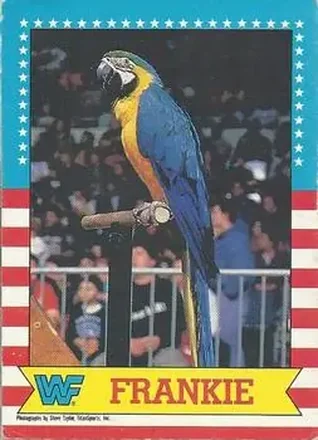 1987 O-Pee-Chee WWF #4 - Frankie 1987 O-Pee-Chee WWF #4 - Frankie