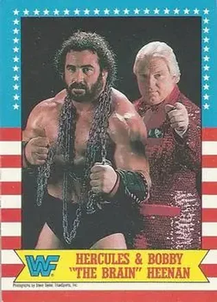 1987 O-Pee-Chee WWF #9 - Card #9 1987 O-Pee-Chee WWF #9 - Card #9
