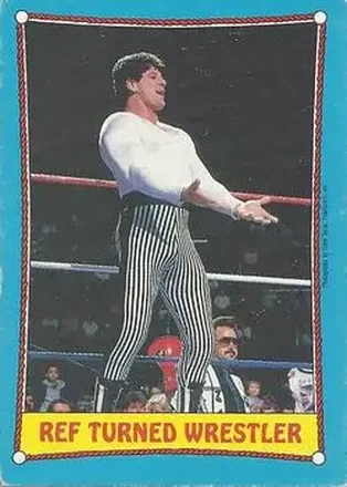 1987 O-Pee-Chee WWF #23 - Card #23