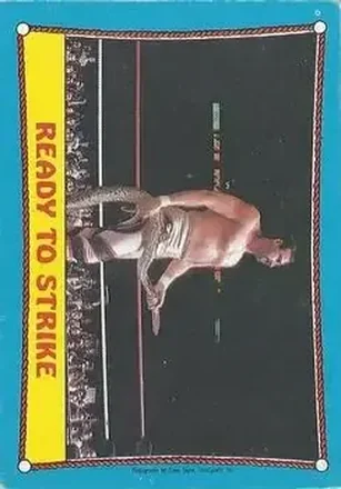 1987 O-Pee-Chee WWF #24 - Card #24