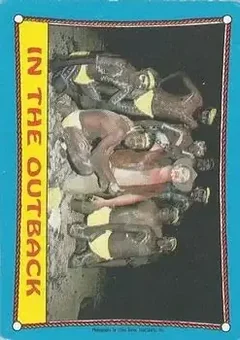 1987 O-Pee-Chee WWF #25 - Card #25