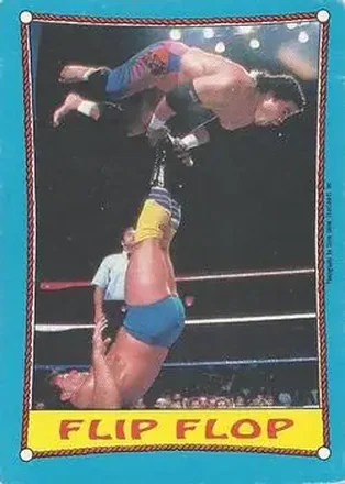 1987 O-Pee-Chee WWF #29 - Card #29