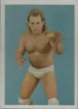 1988 Wonderama NWA #2 - Tommy Angel