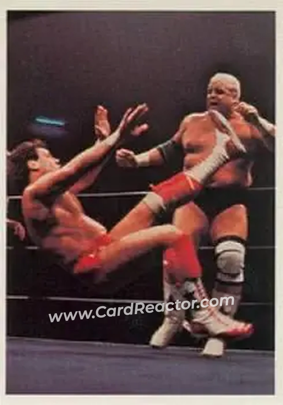 1988 Wonderama NWA #3 - Card #3