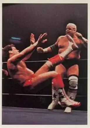 1988 Wonderama NWA #3 - Card #3
