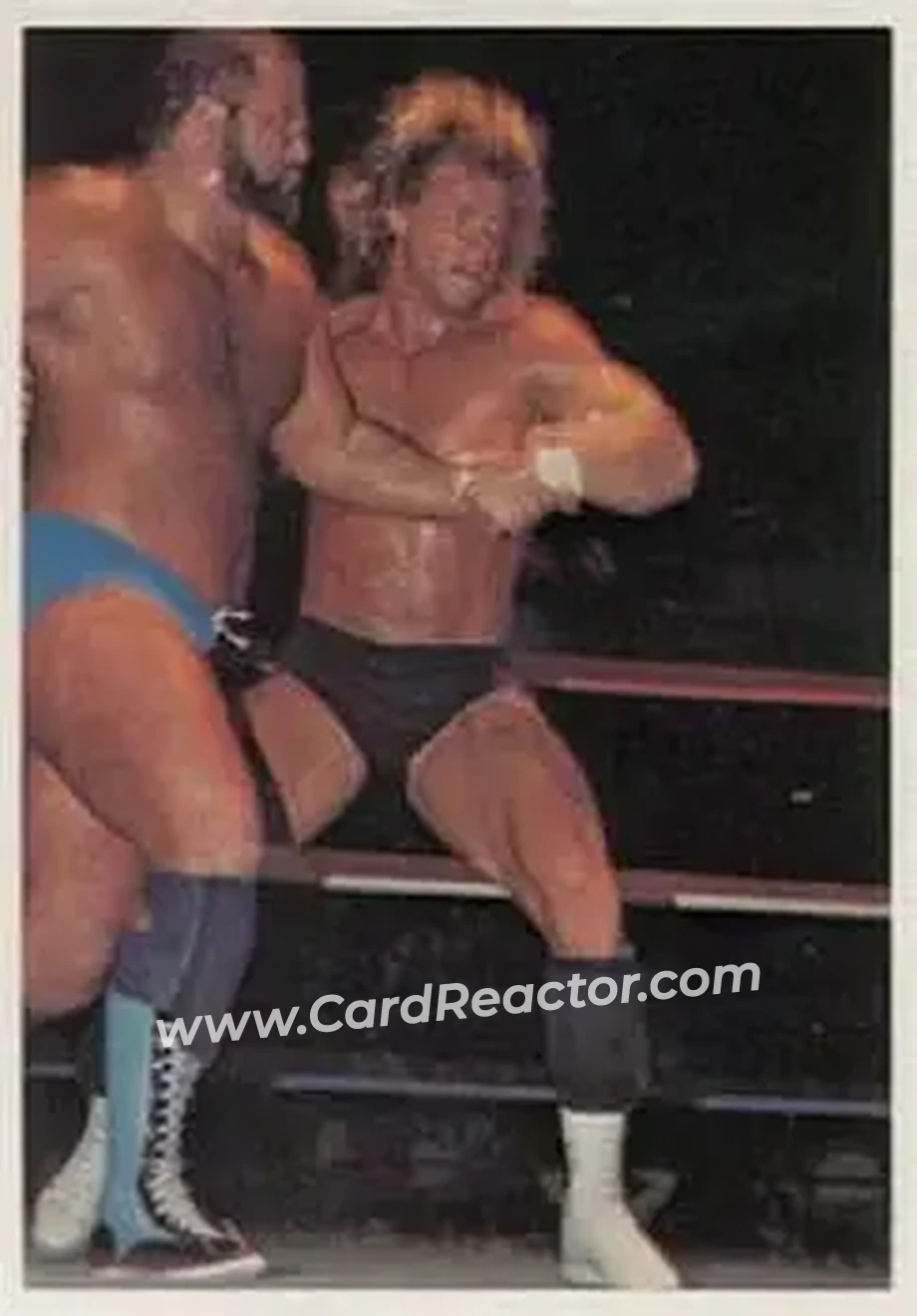 1988 Wonderama NWA #7 - Card #7