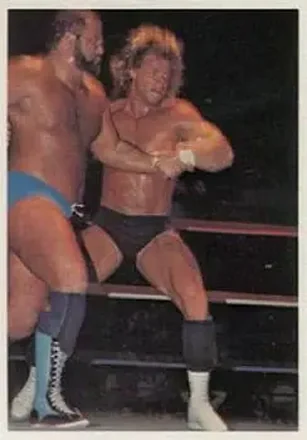 1988 Wonderama NWA #7 - Card #7