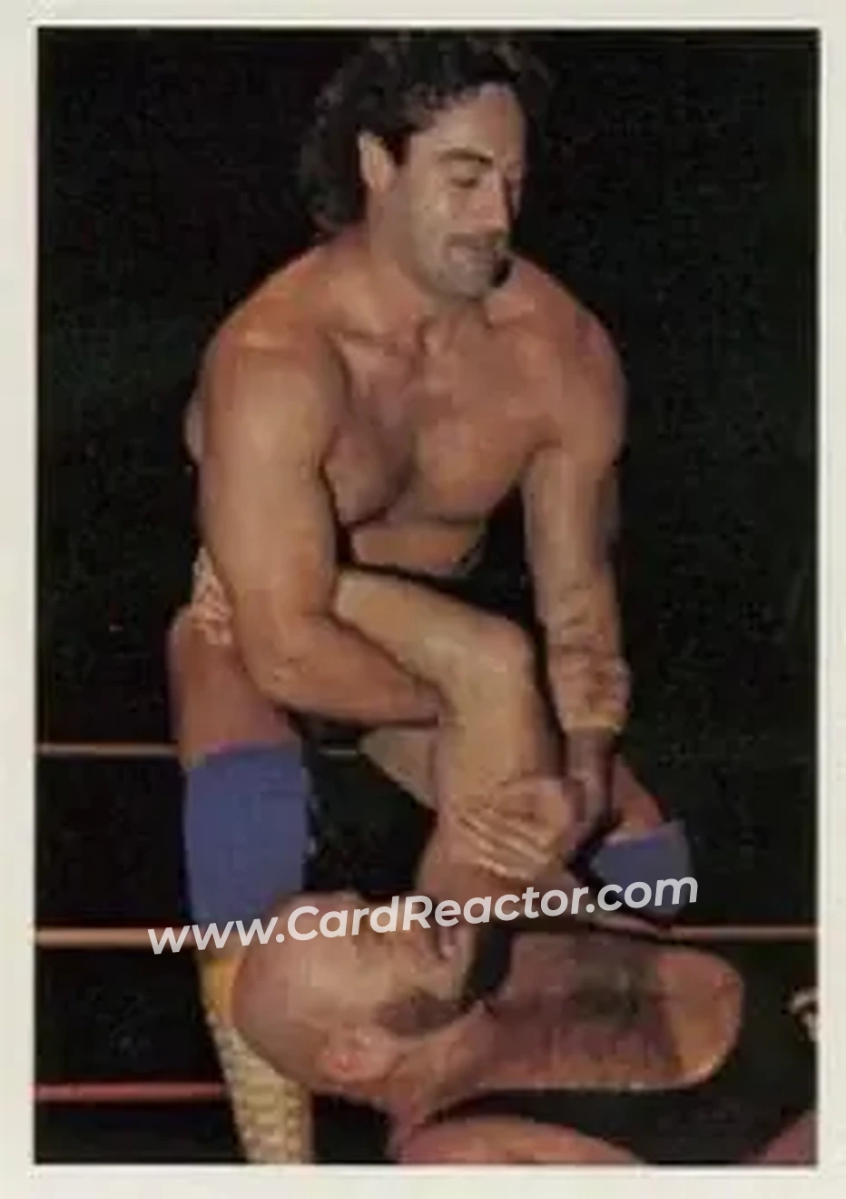 1988 Wonderama NWA #8 - Card #8