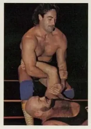 1988 Wonderama NWA #8 - Card #8