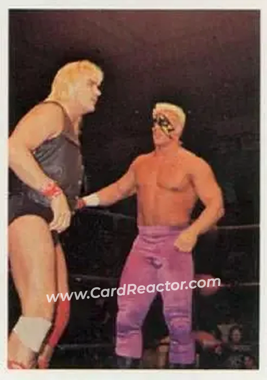 1988 Wonderama NWA #9 - Card #9