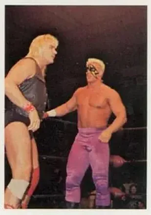 1988 Wonderama NWA #9 - Card #9