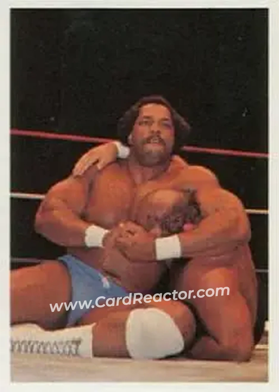 1988 Wonderama NWA #10 - Ron Simmons