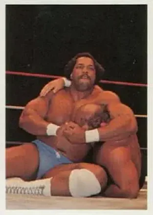 1988 Wonderama NWA #10 - Ron Simmons