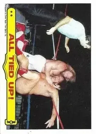 1986 Scanlens WWF Pro Wrestler #27 - Card #27