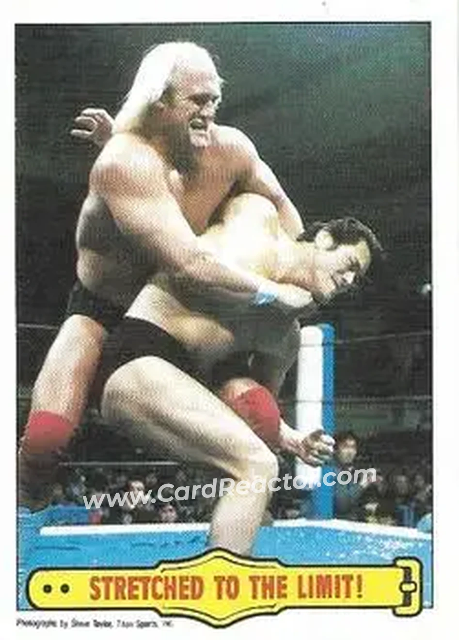 1986 Scanlens WWF Pro Wrestler #29 - Card #29