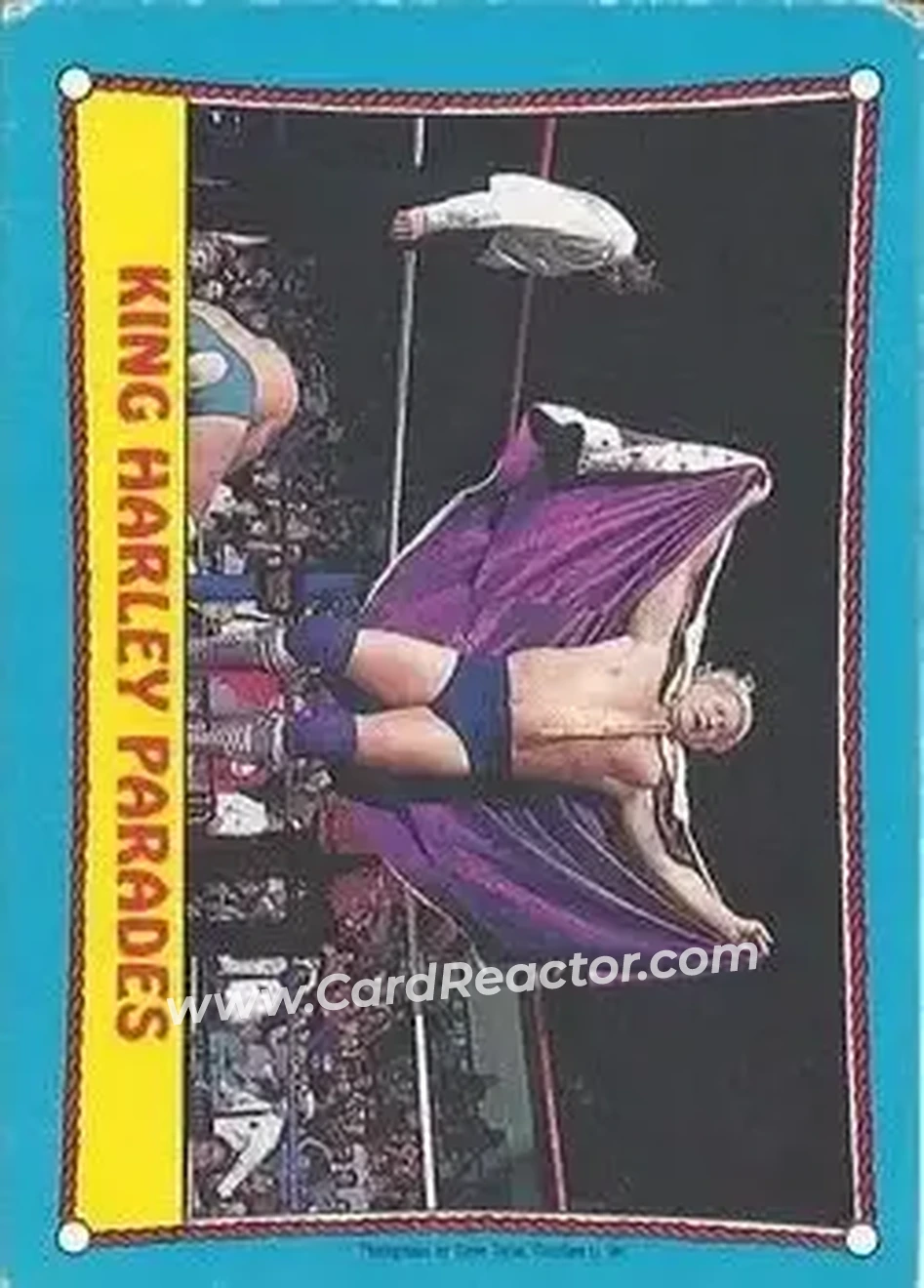 1987 O-Pee-Chee WWF #31 - Card #31
