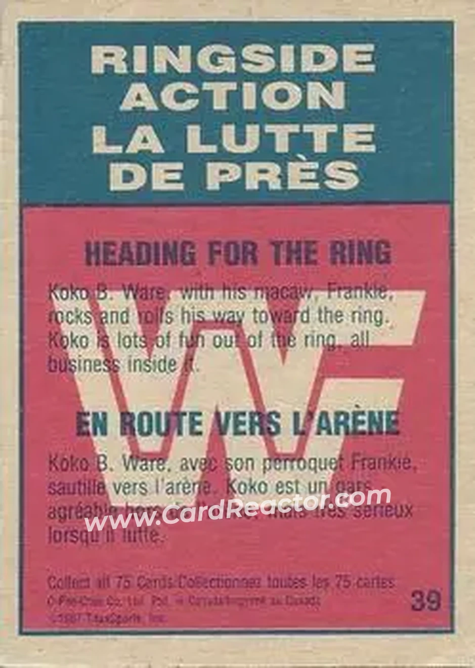 1987 O-Pee-Chee WWF #39 - Card #39 1987 O-Pee-Chee WWF #39 - Card #39