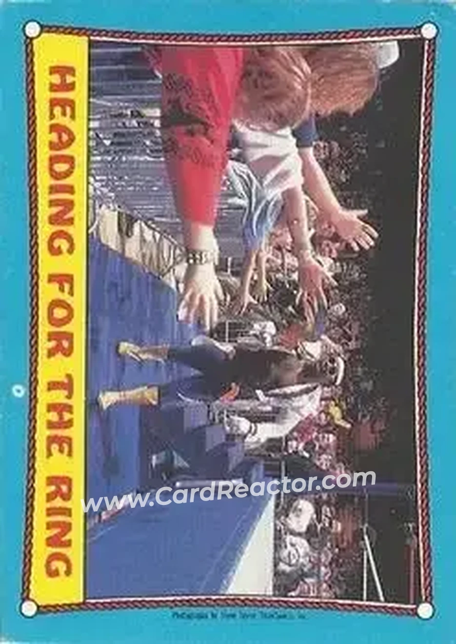 1987 O-Pee-Chee WWF #39 - Card #39 1987 O-Pee-Chee WWF #39 - Card #39