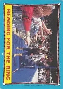 1987 O-Pee-Chee WWF #39 - Card #39