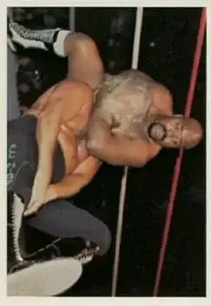 1988 Wonderama NWA #14 - Card #14