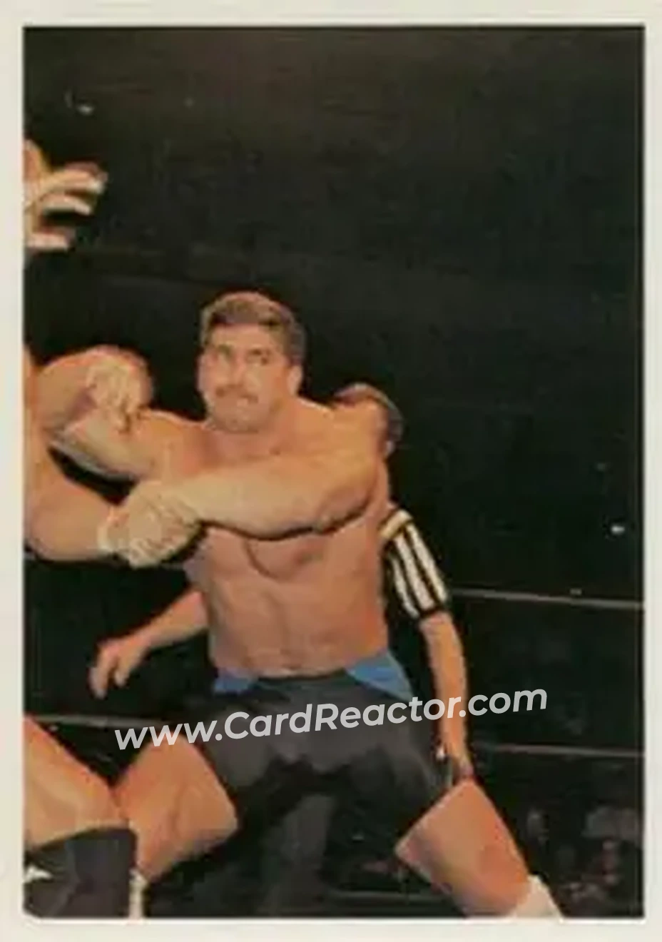 1988 Wonderama NWA #15 - Curtis Thompson