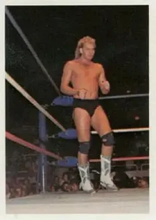 1988 Wonderama NWA #16 - Kendall Windham
