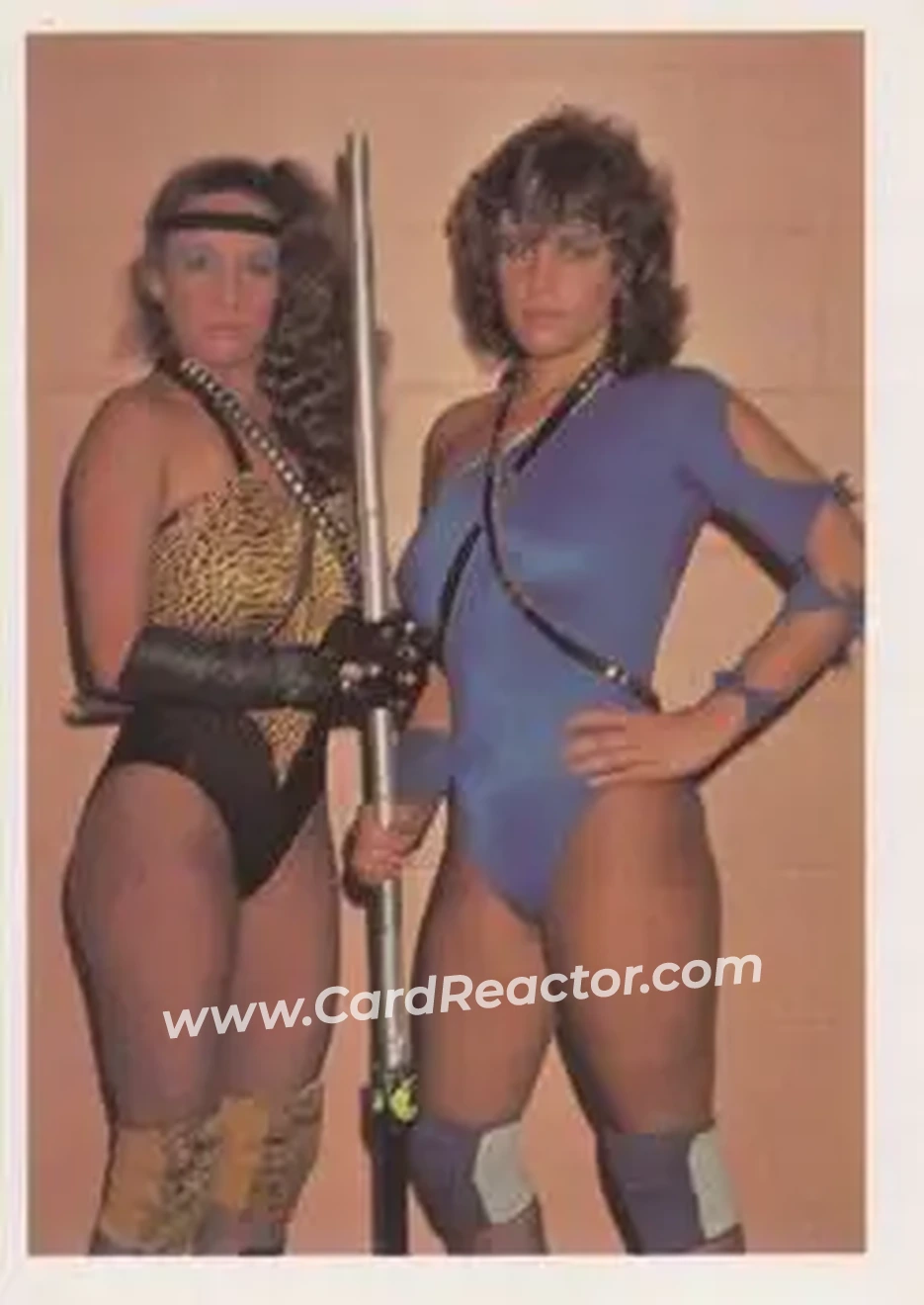 1988 Wonderama NWA #20 - Card #20
