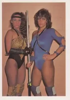 1988 Wonderama NWA #20 - Card #20