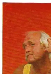 1986 Hulk Hogan's Rock 'n' Wrestling Stickers #31 - Hulk Hogan 1986 Hulk Hogan's Rock 'n' Wrestling Stickers #31 - Hulk Hogan