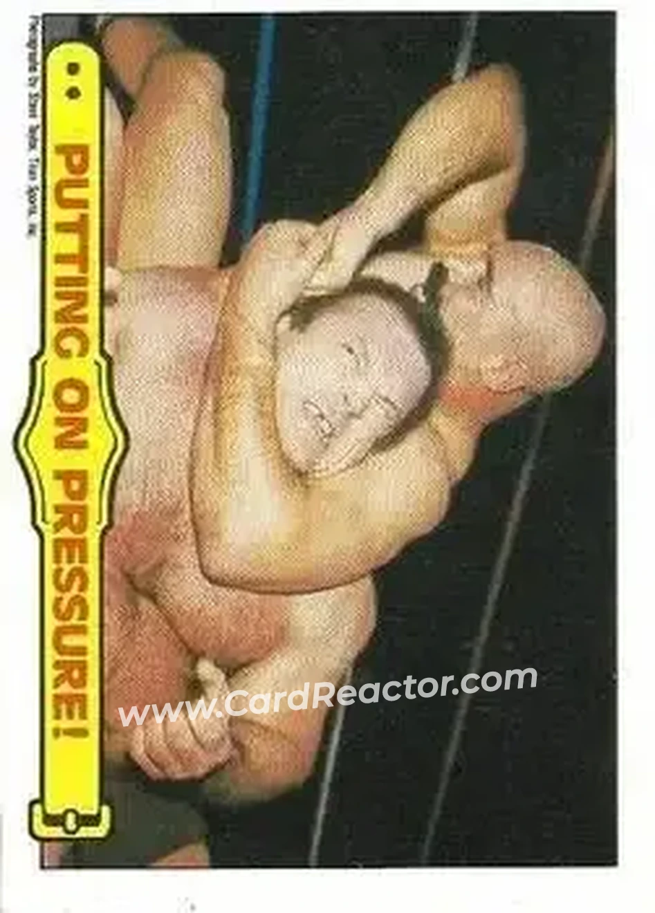 1986 Scanlens WWF Pro Wrestler #32 - Card #32