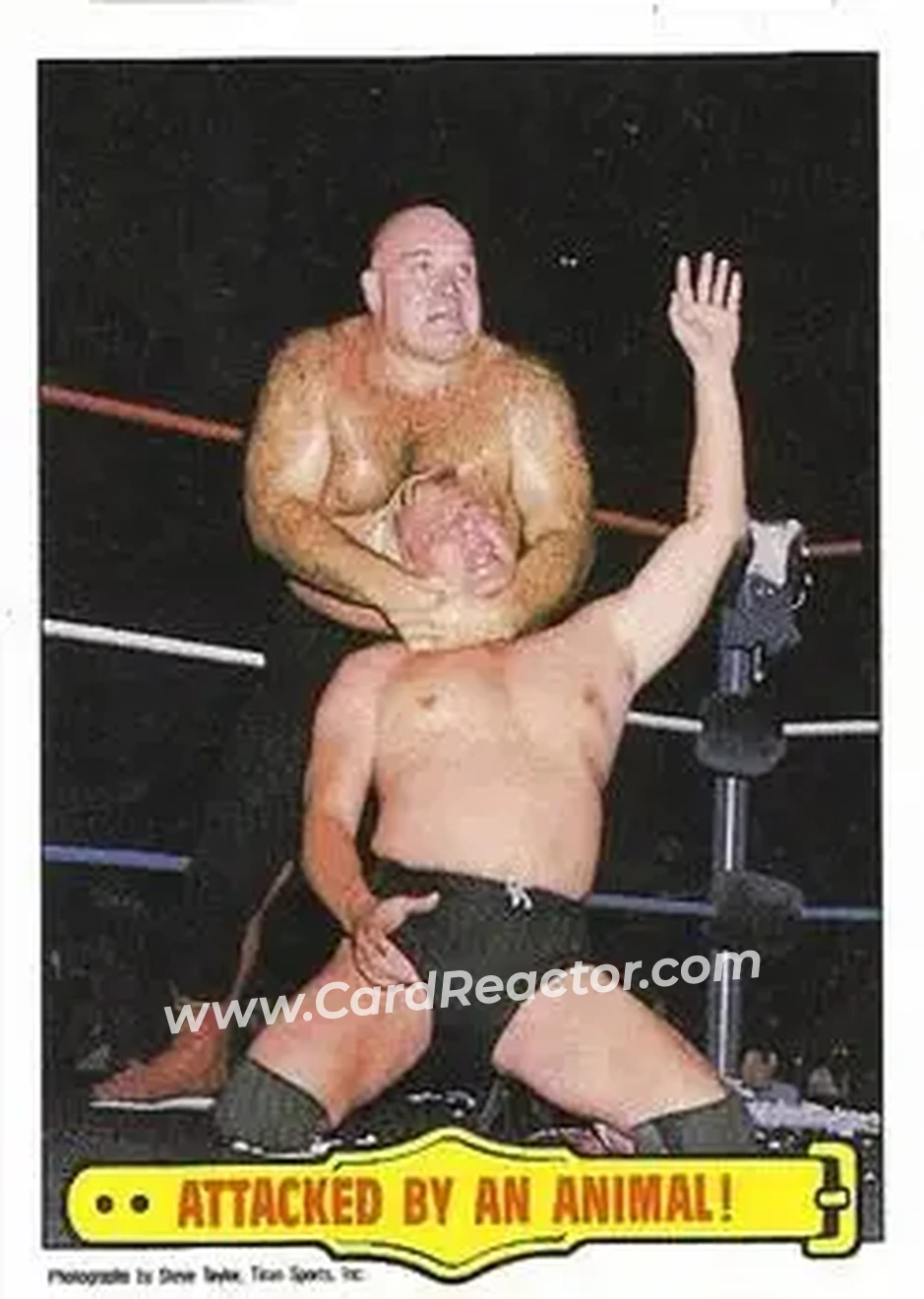 1986 Scanlens WWF Pro Wrestler #37 - Card #37