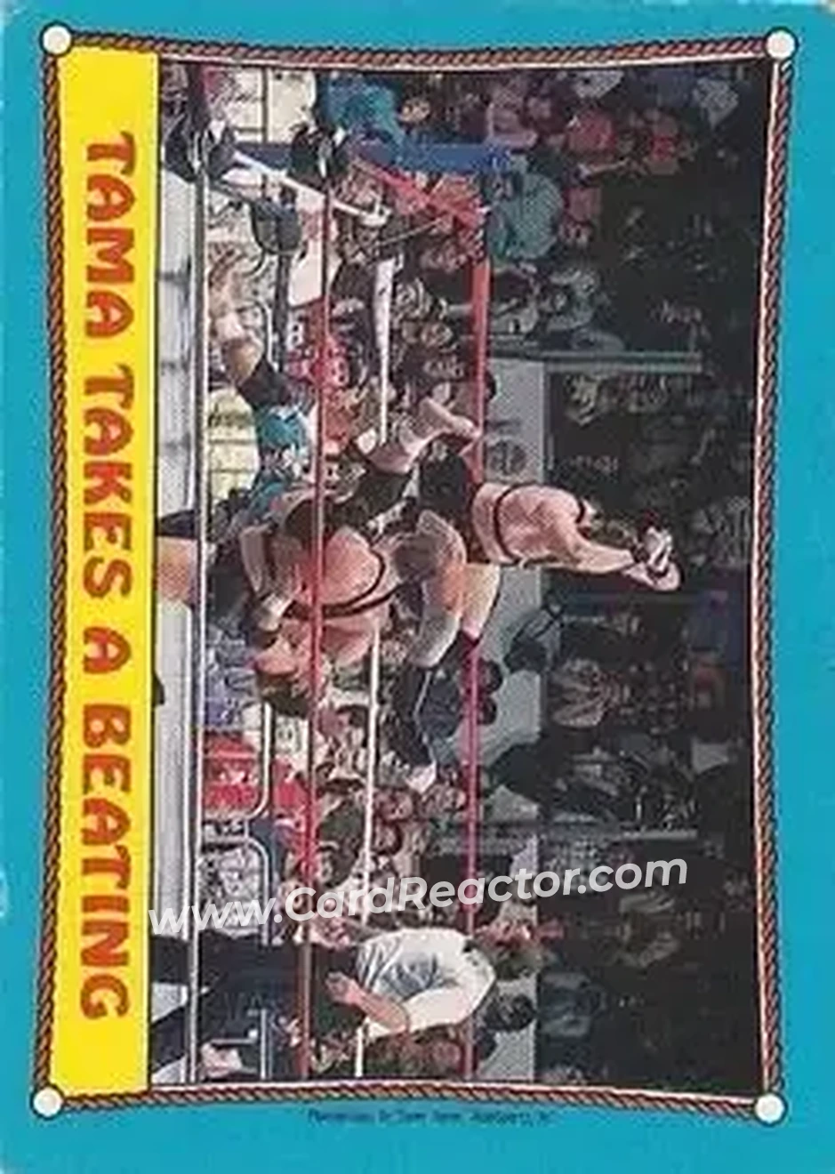 1987 O-Pee-Chee WWF #41 - Card #41