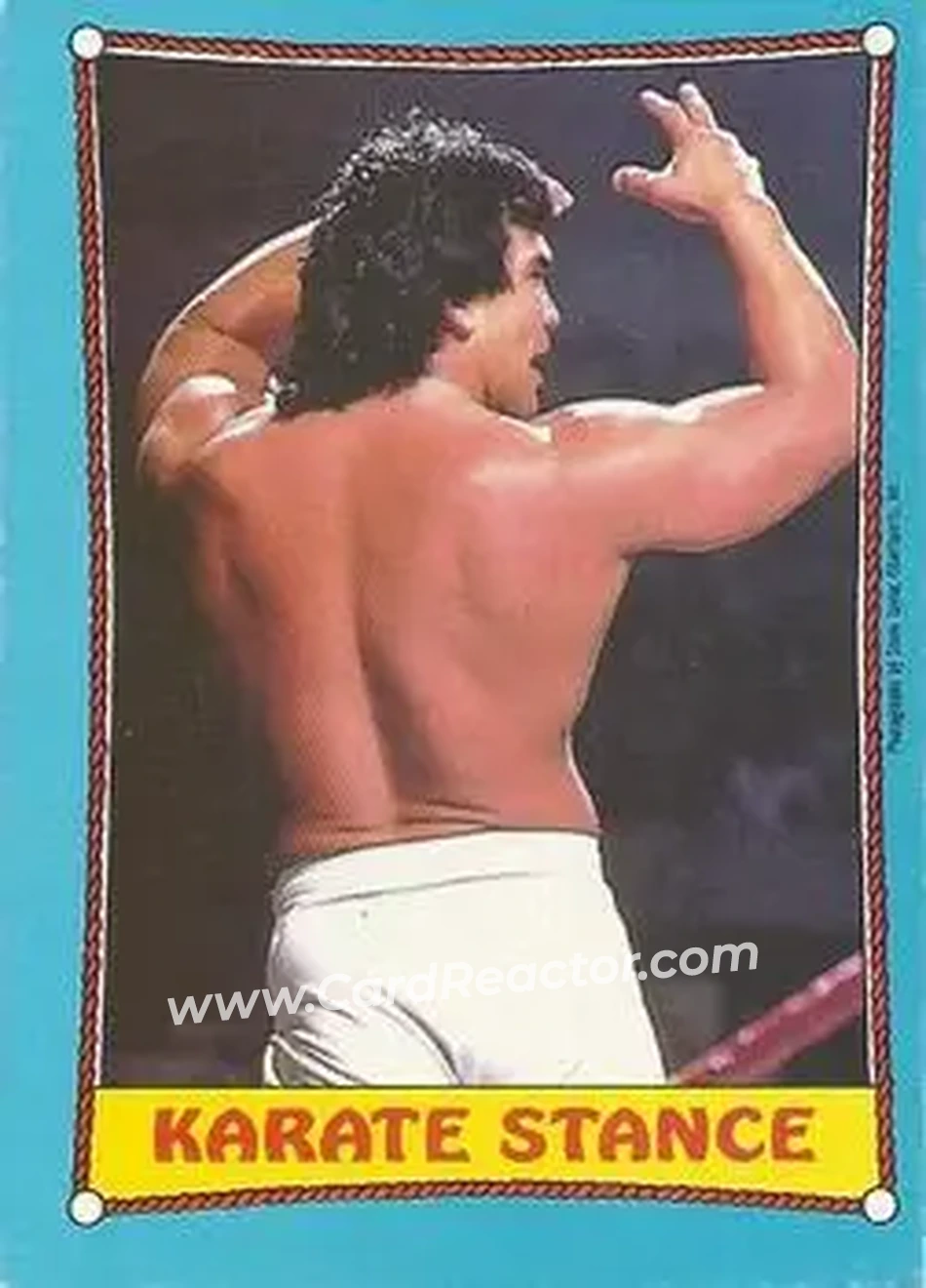 1987 O-Pee-Chee WWF #43 - Card #43 1987 O-Pee-Chee WWF #43 - Card #43