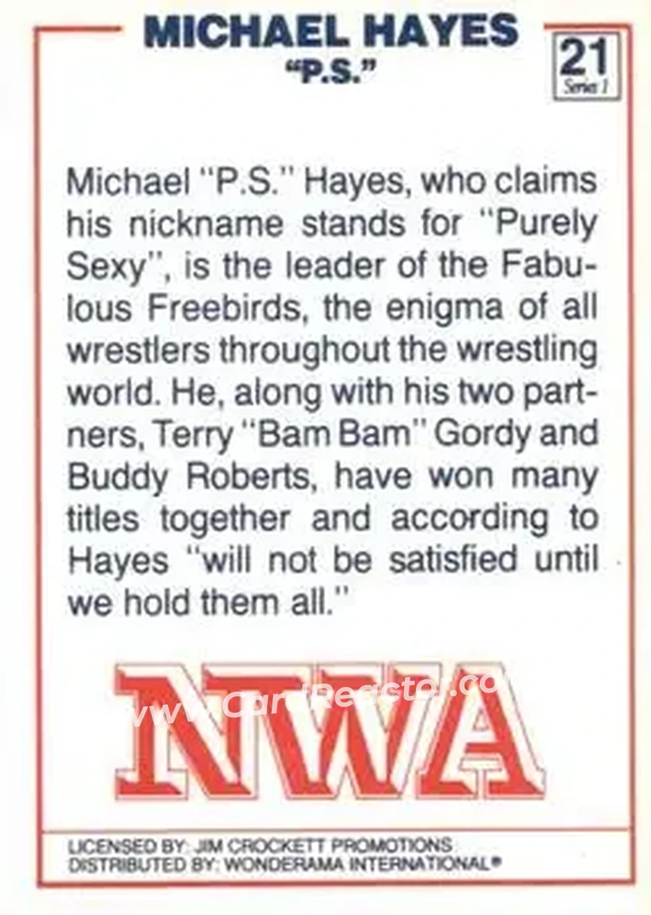 1988 Wonderama NWA #21 - Michael Hayes