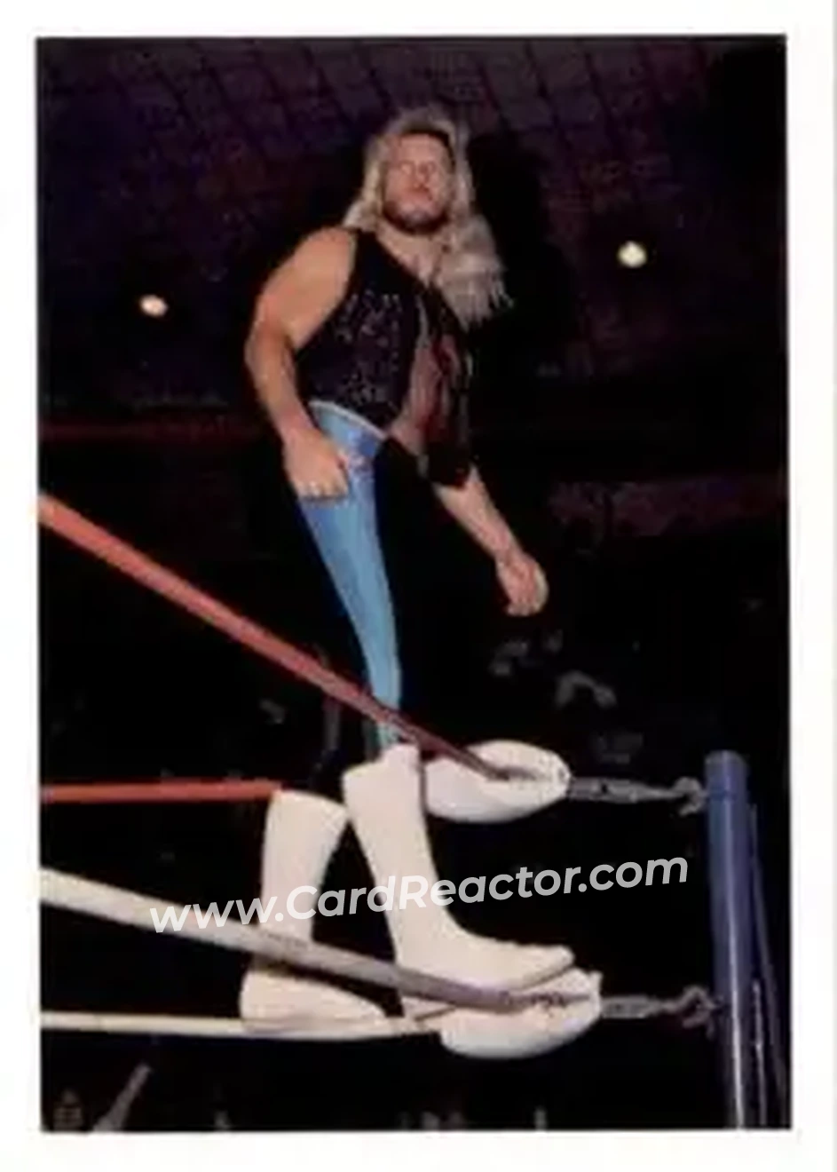 1988 Wonderama NWA #21 - Michael Hayes