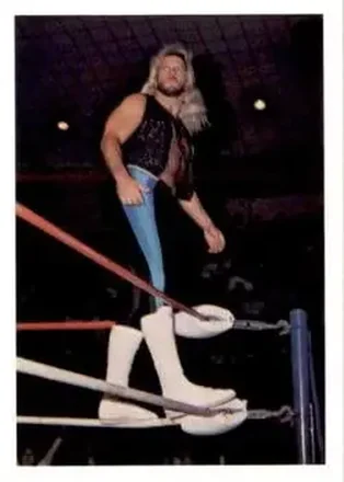 1988 Wonderama NWA #21 - Michael Hayes