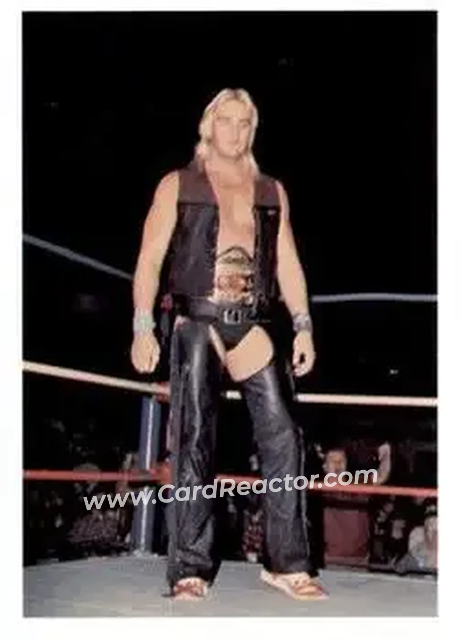 1988 Wonderama NWA #23 - The Widow Maker