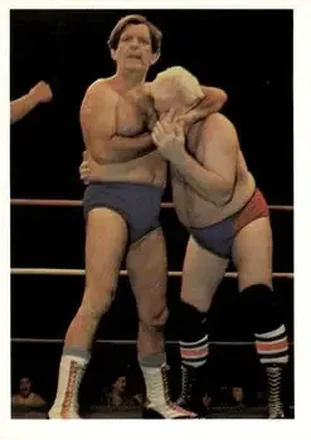 1988 Wonderama NWA #24 - Card #24