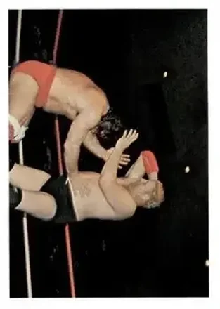 1988 Wonderama NWA #26 - Dick Murdoch