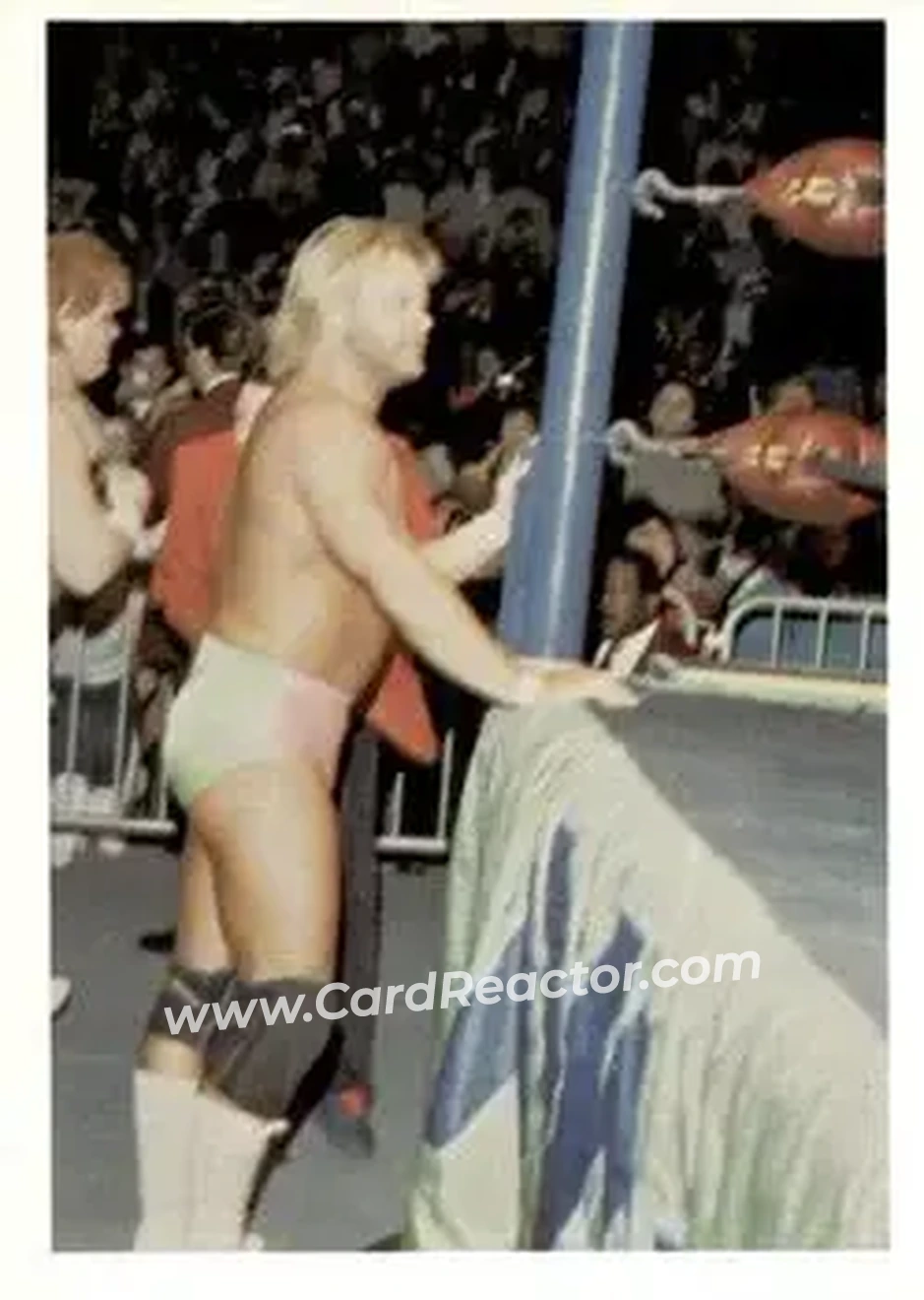 1988 Wonderama NWA #27 - Stan Lane