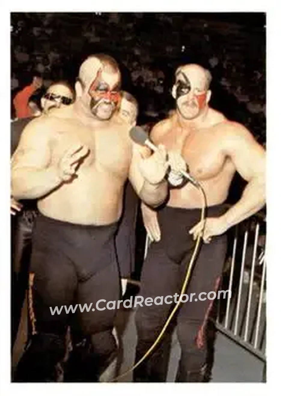 1988 Wonderama NWA #30 - Card #30